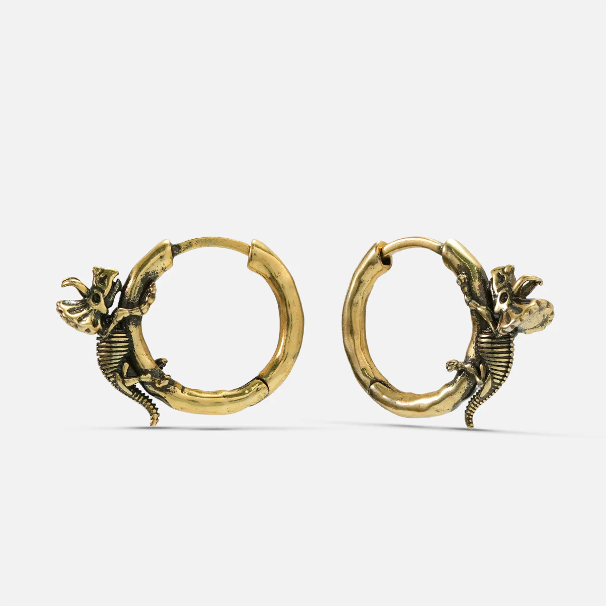 ADAPTIVE EVOLUTION EARRINGS